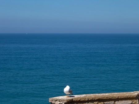 Mon après-midi